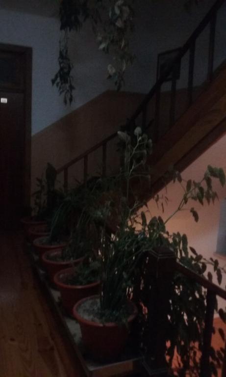 Pensao Avenida Hotell Penacova Exteriör bild